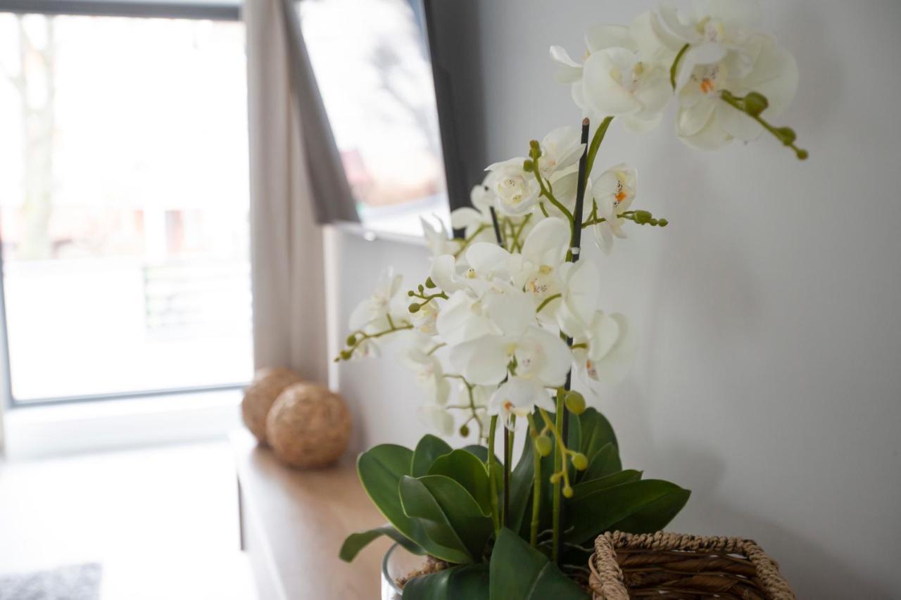 Apartament Koszykowa Daire Ełk Dış mekan fotoğraf